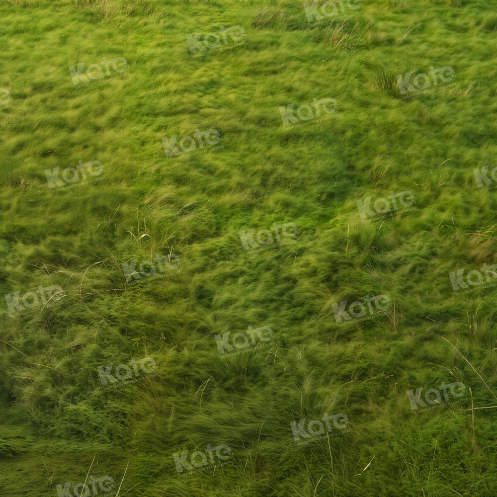 Lente Grasvloerdecor Achtergrond Ontworpen door Afbeelding
