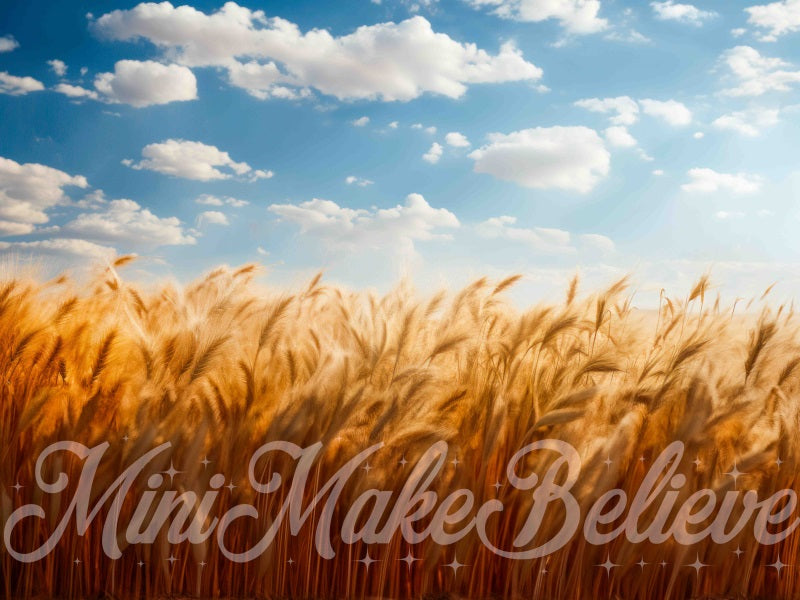 Dipinto su tela field di grano boho e cieli blu - sfondo progettato da Mini MakeBelieve