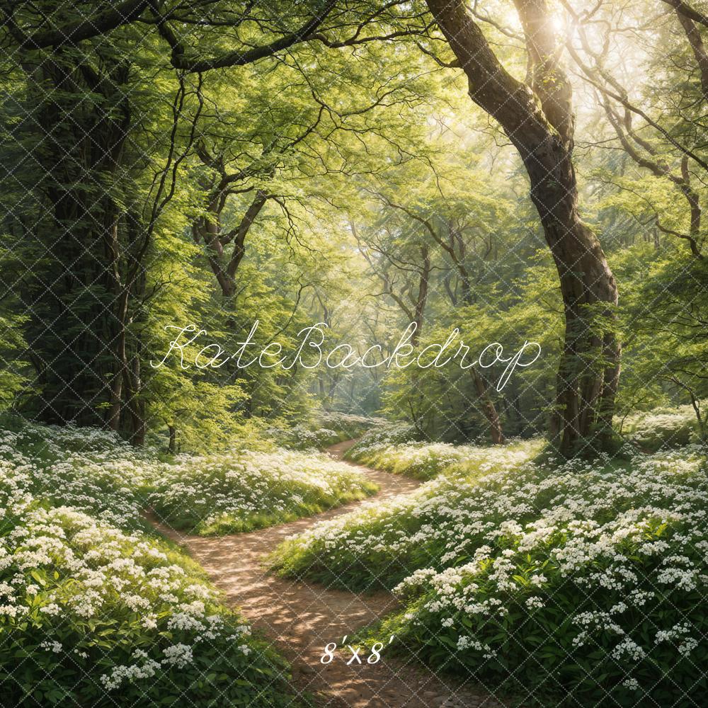 Sfondo verde primaverile del sentiero nel bosco progettato da Chain Photography