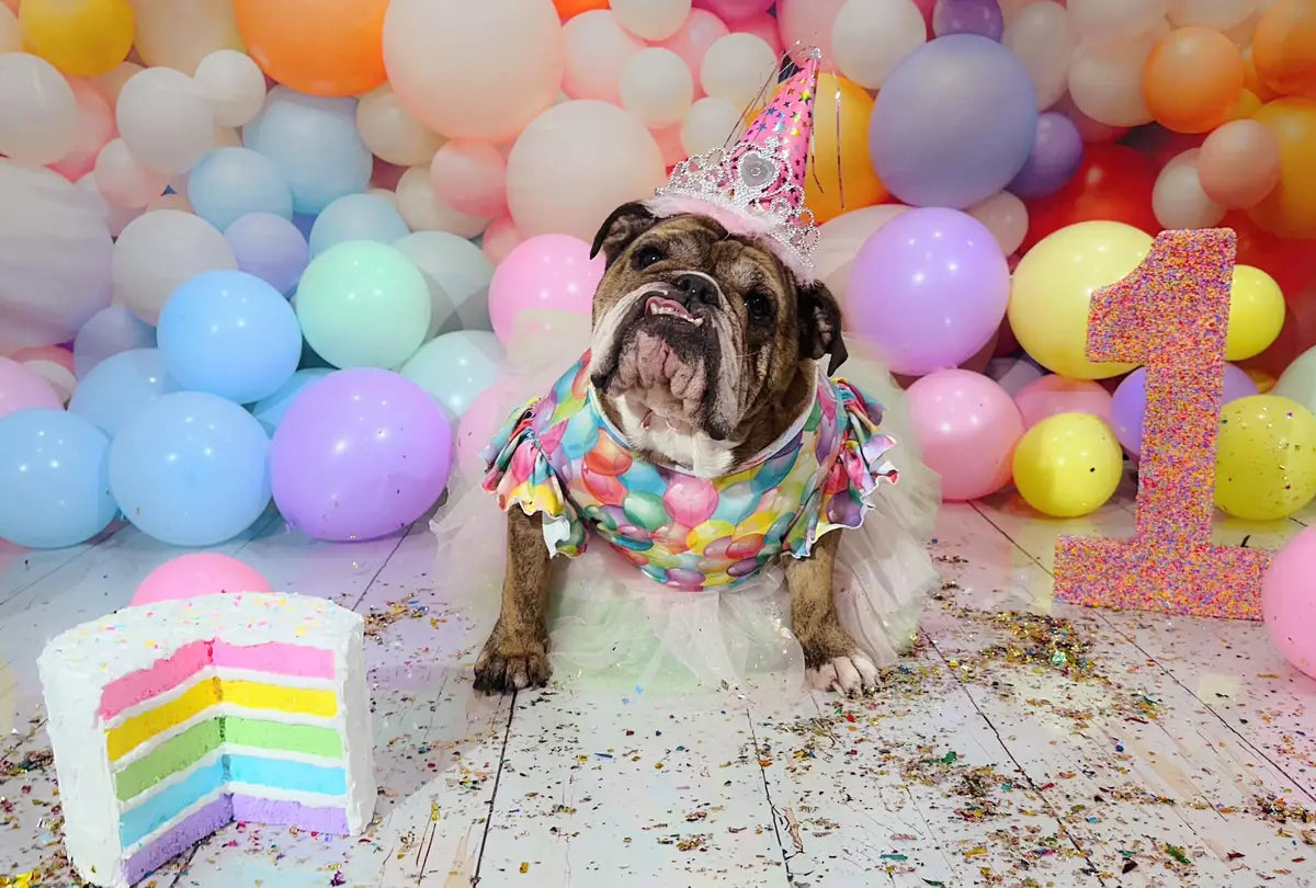 Kleurrijke Ballonnen Foto Achtergrond Ontworpen door Emetselch