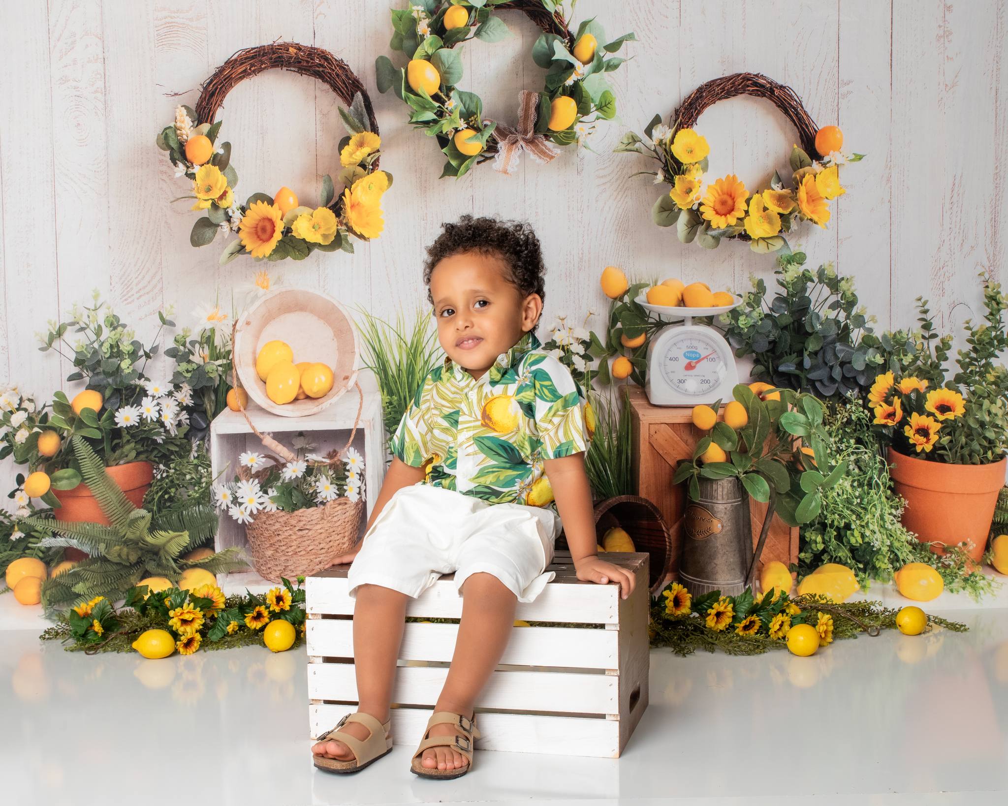 Summer Lemon Green Sunflower Backdrop Design di Emetselch