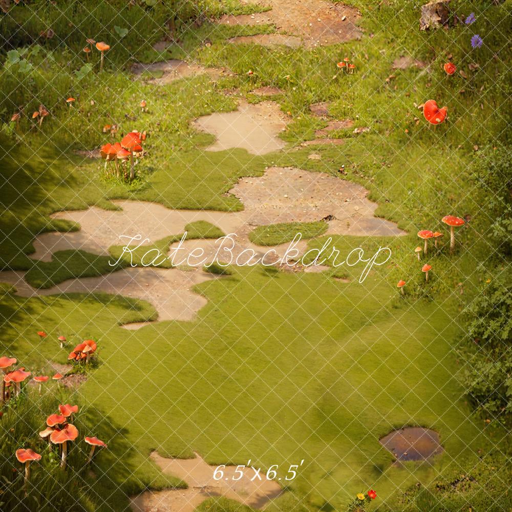 Fantasy Mushroom Forest Meadow Floor Backdrop Disegnato da Kate Immagine