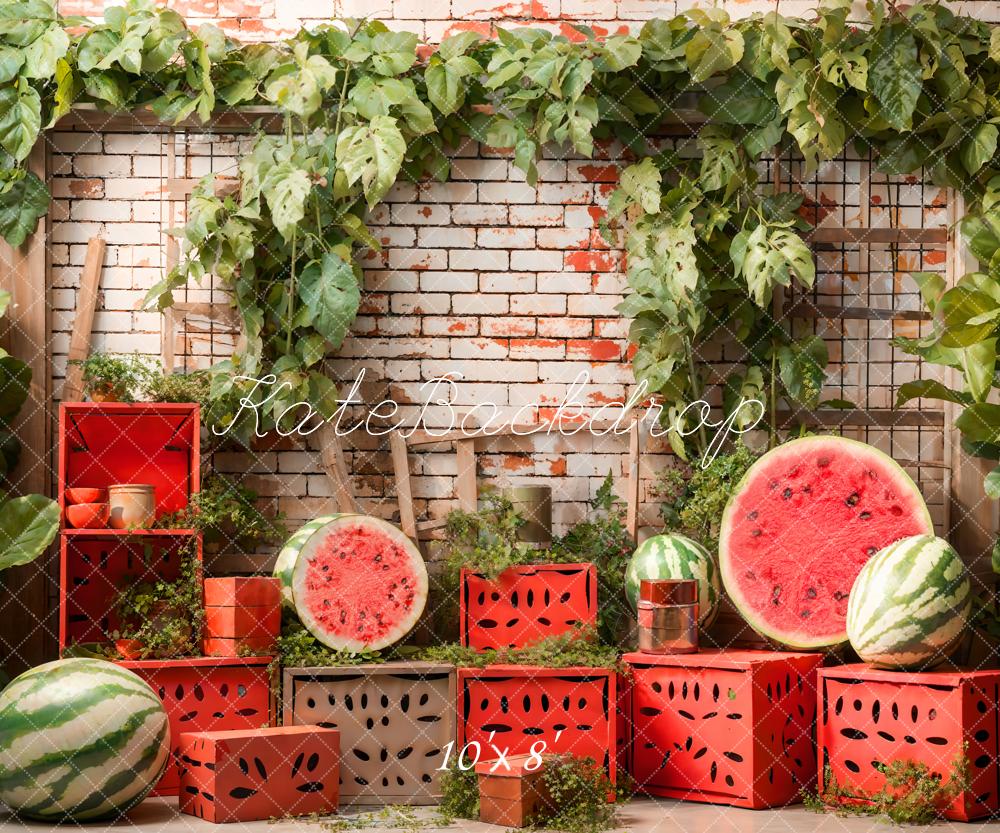 Scatola rossa estiva su sfondo a muro in mattoni verdi con pianta d'acqua e melone progettata da Emetselch