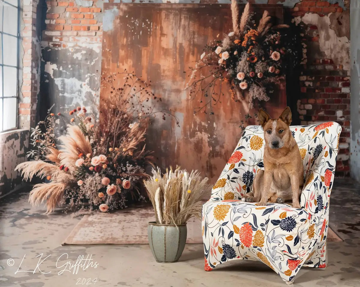 Boho Huisdier Donkerbruin Binnenriet Bloemen Oude Bakstenen Foto Achtergrond Ontworpen door Emetselch