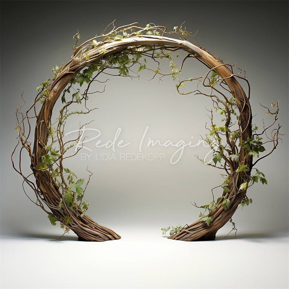 Kate Spring Brown Twisted Branch Arch Backdrop Designed by Lidia Redekopp