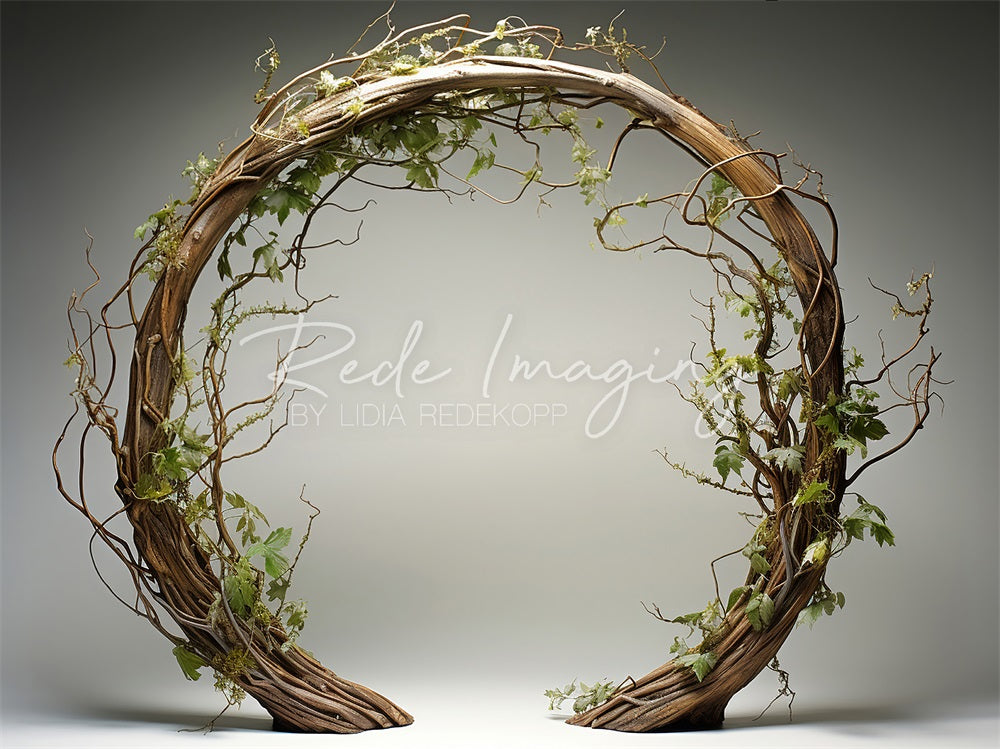 Kate Spring Brown Twisted Branch Arch Backdrop Designed by Lidia Redekopp