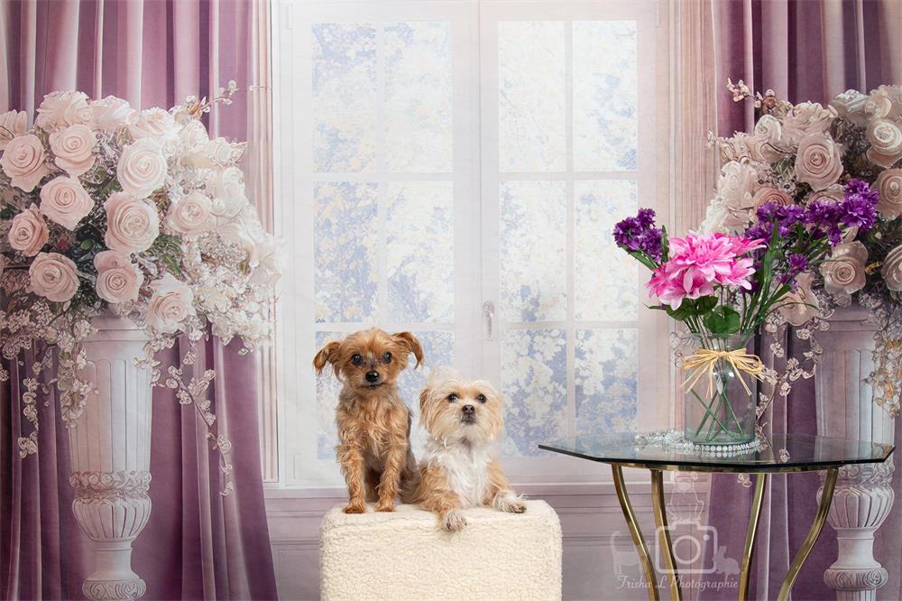 Boda de primavera en interiores con flores blancas y cortina morada adornada detrás de la ventana con arco, diseñada por Mini MakeBelieve.