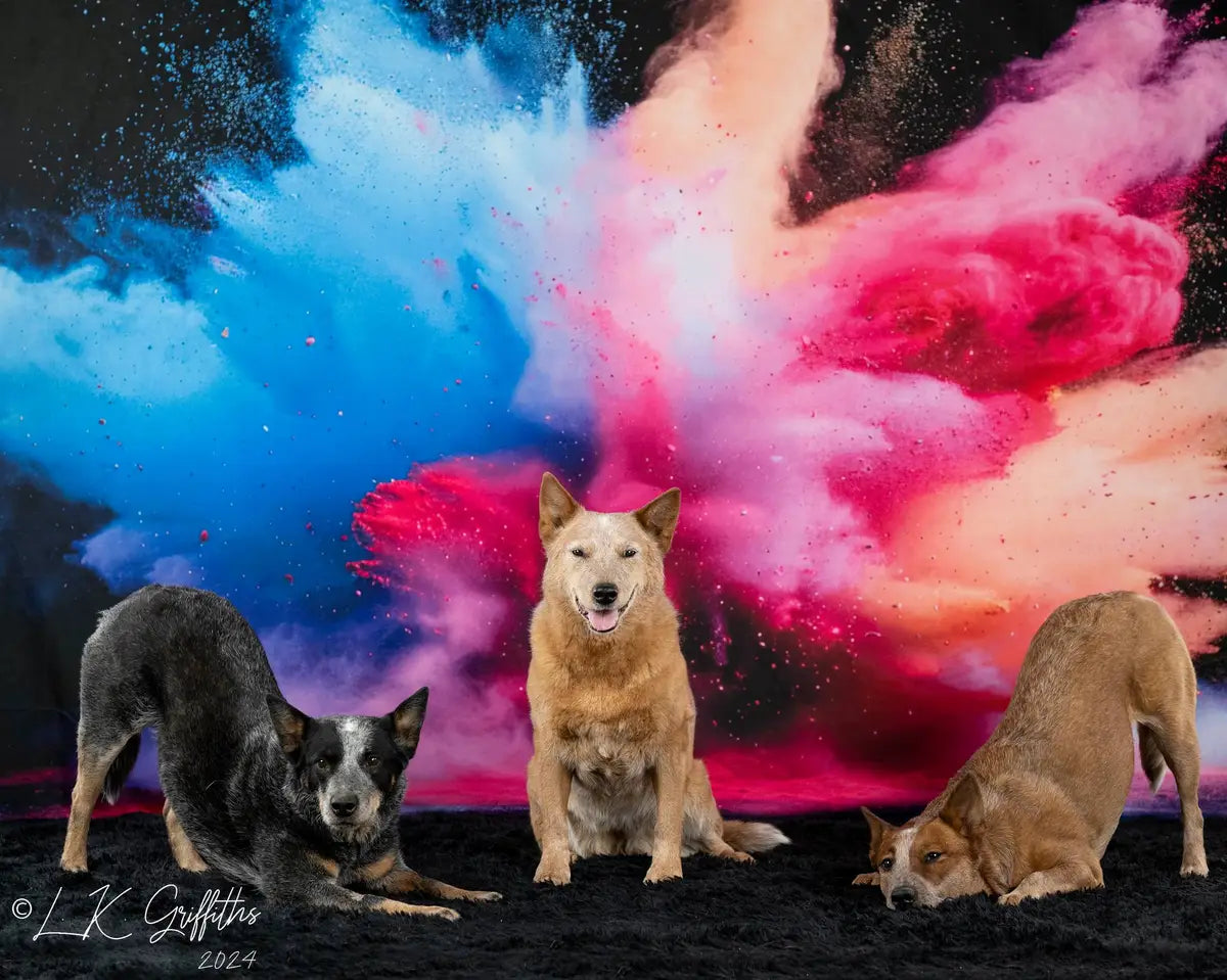 Cool Colorful Burst of Powder Black Wall Backdrop Ontworpen door Lidia Redekopp