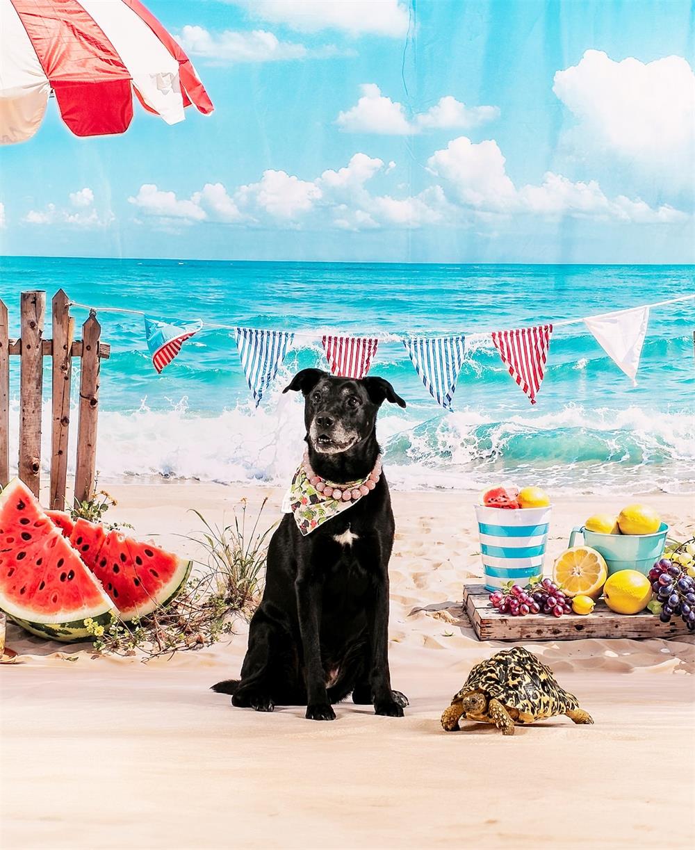 Kate Summer Sea Beach Parasol Fruit Seabird Brown Wooden Fence Backdrop+Summer Beige Beach Floor Backdrop