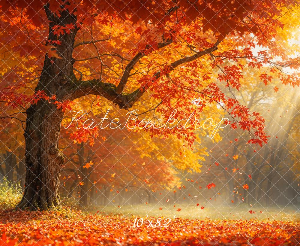 Kate Autumn Outdoor Fallen Leaf Red Maple Tree Backdrop Designed by Emetselch