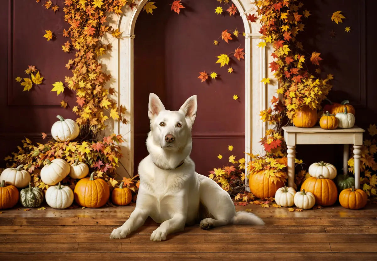 Fondo de pared de color cacao con arco blanco, hoja de arce roja y calabaza de otoño diseñado por Emetselch