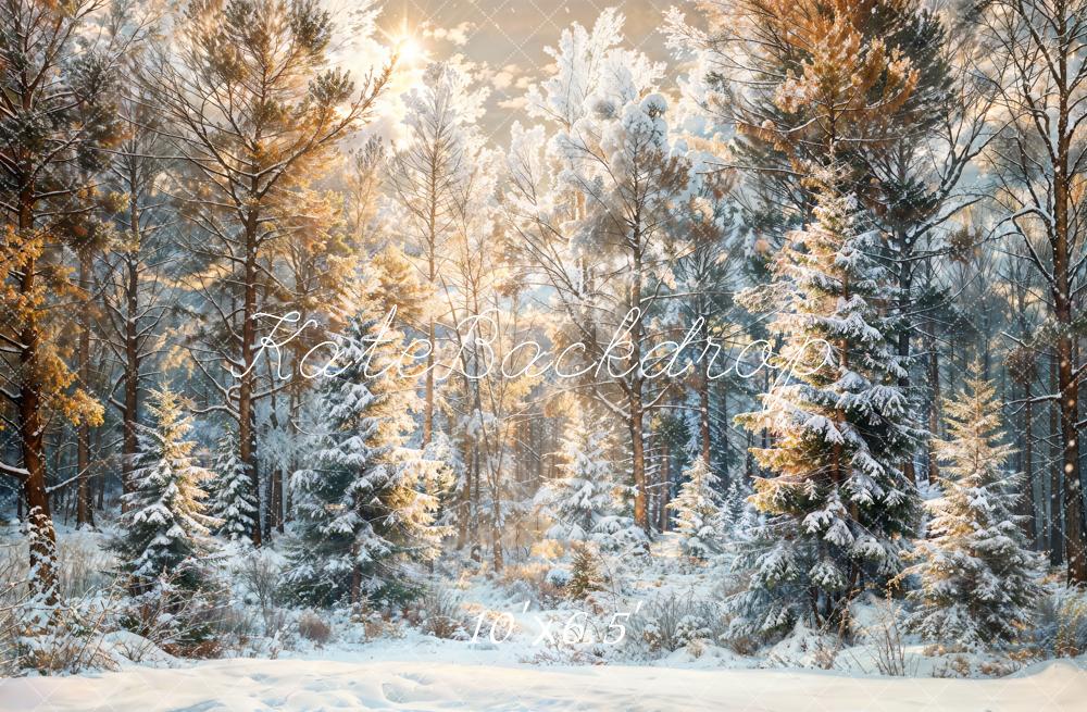 Fondo de bosque de pinos al aire libre para Navidad en invierno diseñado por Chain Photography