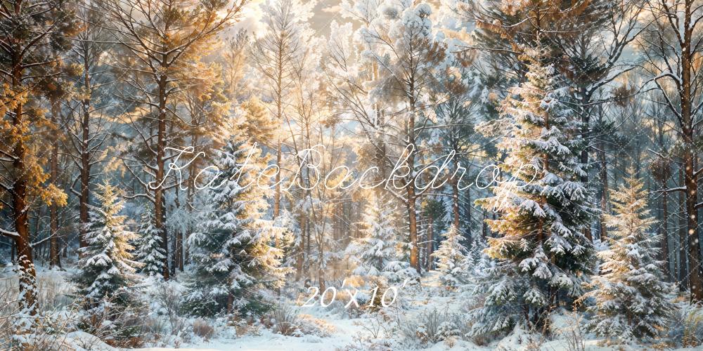 Kate Winter Christmas Outdoor Pine Forest Backdrop Designed by Chain Photography