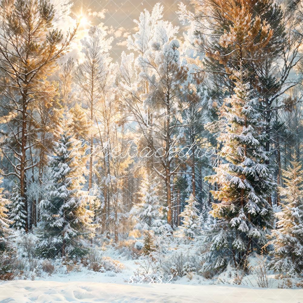 Fondo de bosque de pinos al aire libre para Navidad en invierno diseñado por Chain Photography