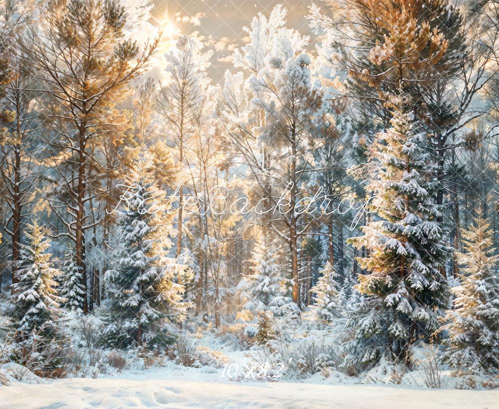 Fondo de bosque de pinos al aire libre para Navidad en invierno diseñado por Chain Photography