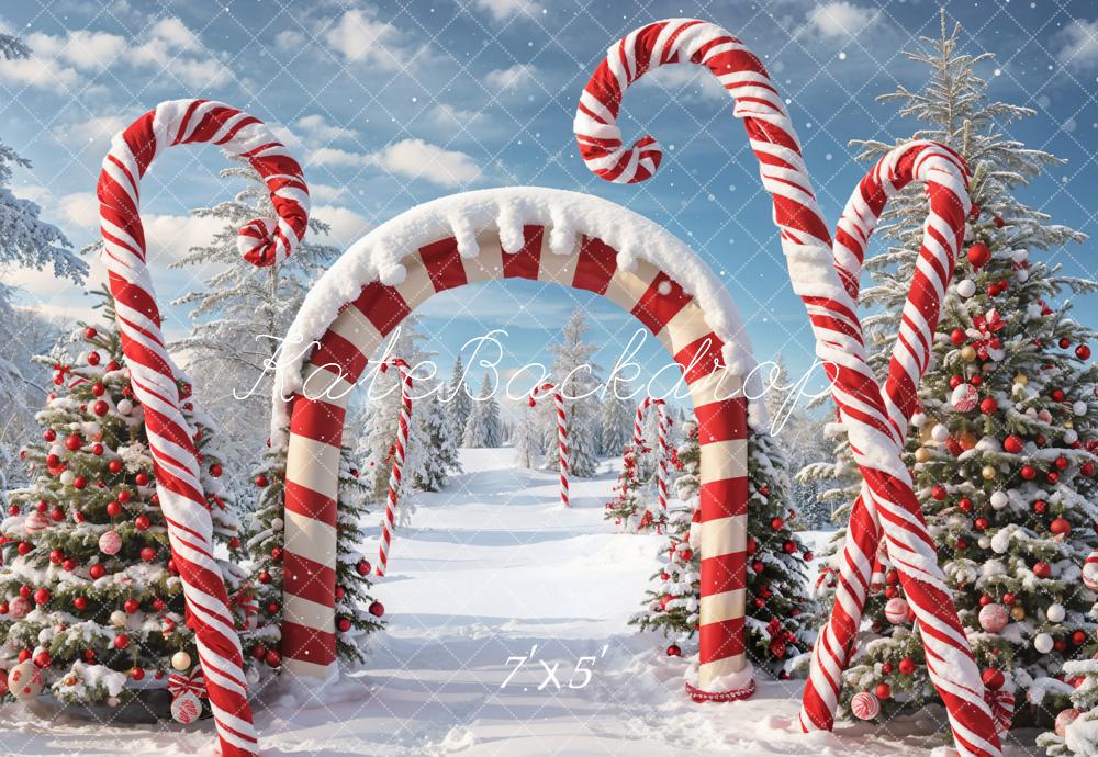 Winter Kerst Buiten Bos Sneeuw Snoepboog Achtergrond Ontworpen door Chain Fotografie