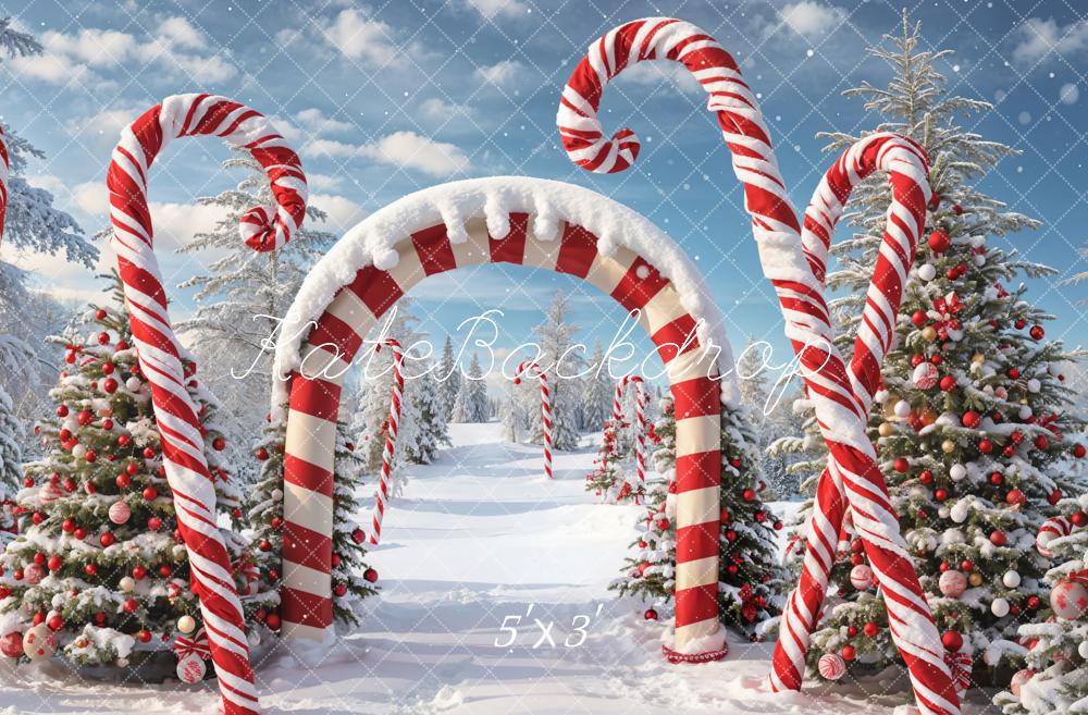 Kate Winter Christmas Outdoor Forest Snow Candy Arch Backdrop Designed by Chain Photography