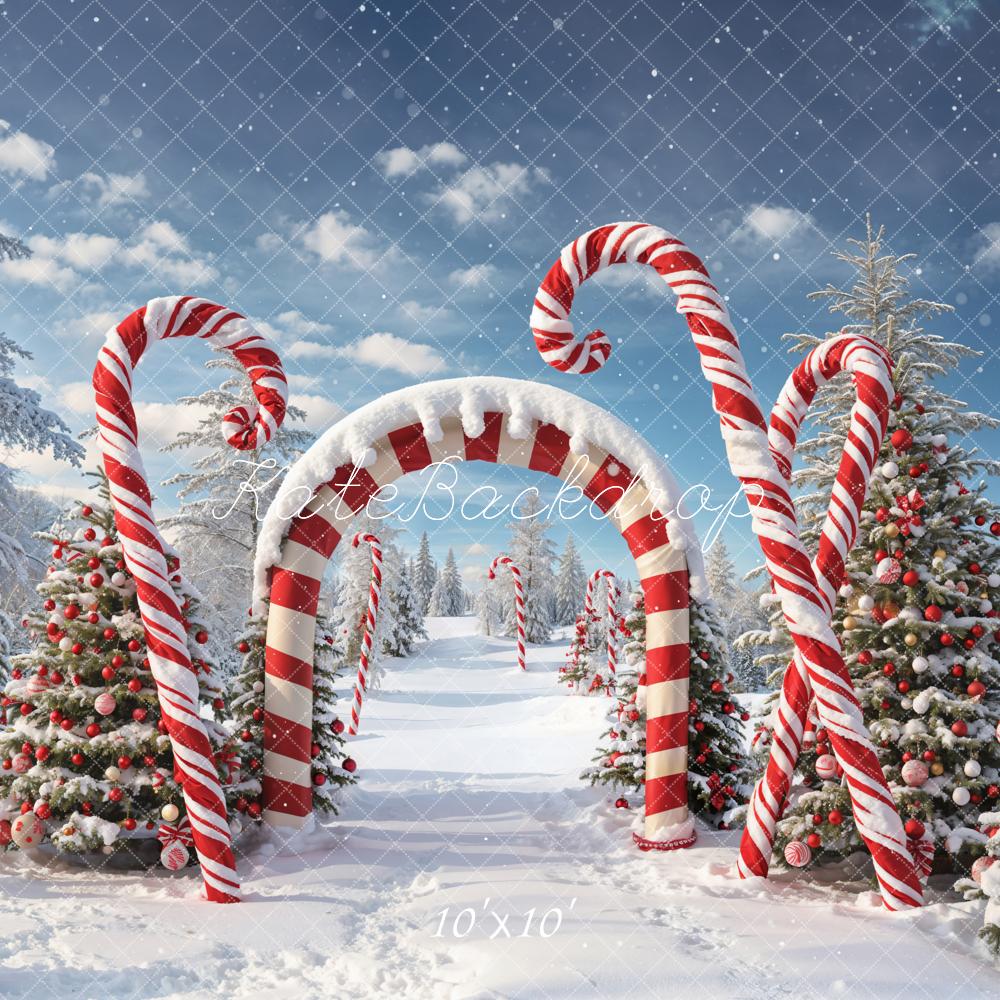 Kate Winter Christmas Outdoor Forest Snow Candy Arch Backdrop Designed by Chain Photography