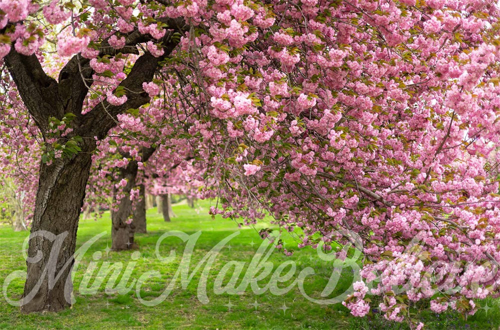 Kate Summer Outdoor Pink Cherry Blossom Tree Green Meadow Backdrop Designed by Mini MakeBelieve