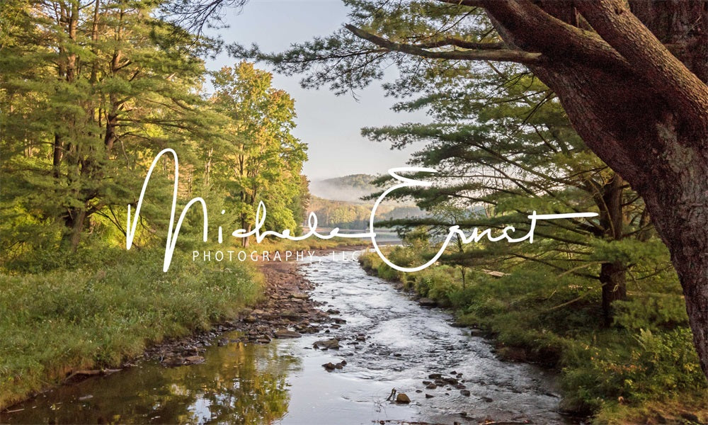 Kate Summer Outdoor Forest Lake Meadow Mountain Backdrop Designed By Michele Ernst Photography