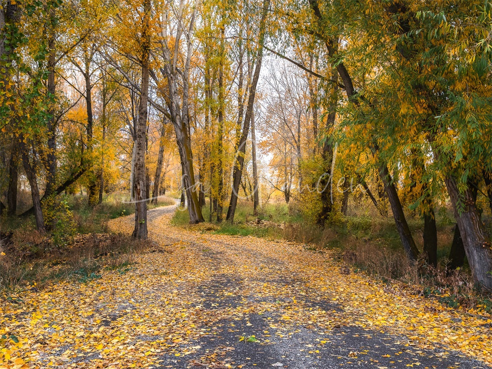 Herfstige buitenachtergrond met bos en landweg voor fotografie ontworpen door Lisa Granden