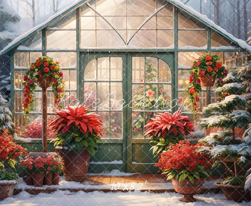 Winter Red Flower Greenhouse Garden Backdrop Designed by GQ