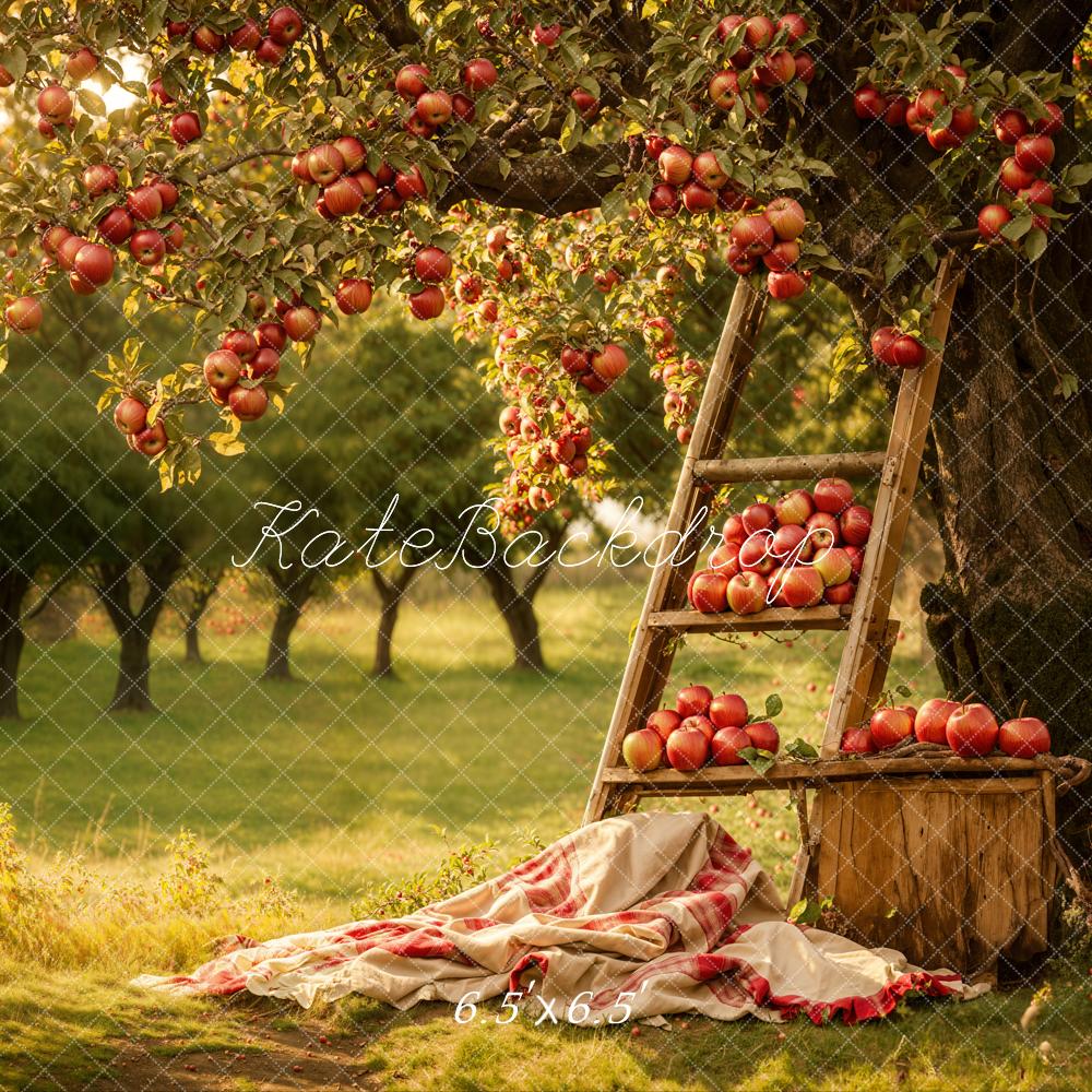 Herfst Buiten Bos Rode Appelboomgaard Achtergrond Ontworpen door Emetselch