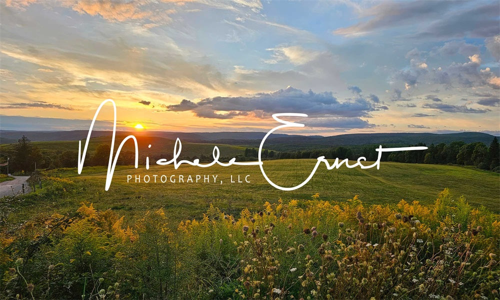 Kate Outdoor Forest Green Grassland Sunset Mountain Backdrop Designed By Michele Ernst Photography
