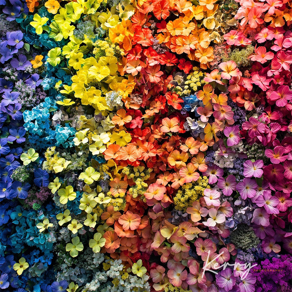 Fijne Kunst Kleurrijke Bloemen Achtergrond voor Fotografie Ontworpen door Kerry Anderson