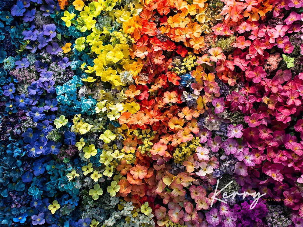 Kate Fine Art Colorful Flower Wall Backdrop for Photography Designed by Kerry Anderson