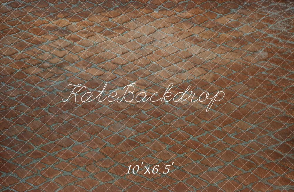 Kate Vintage Red Brick Road Floor Backdrop Designed by Kate Image