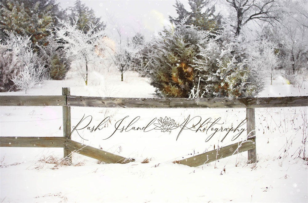 Kate Winter Forest Snow Brown Fence Backdrop Designed by Laura Bybee