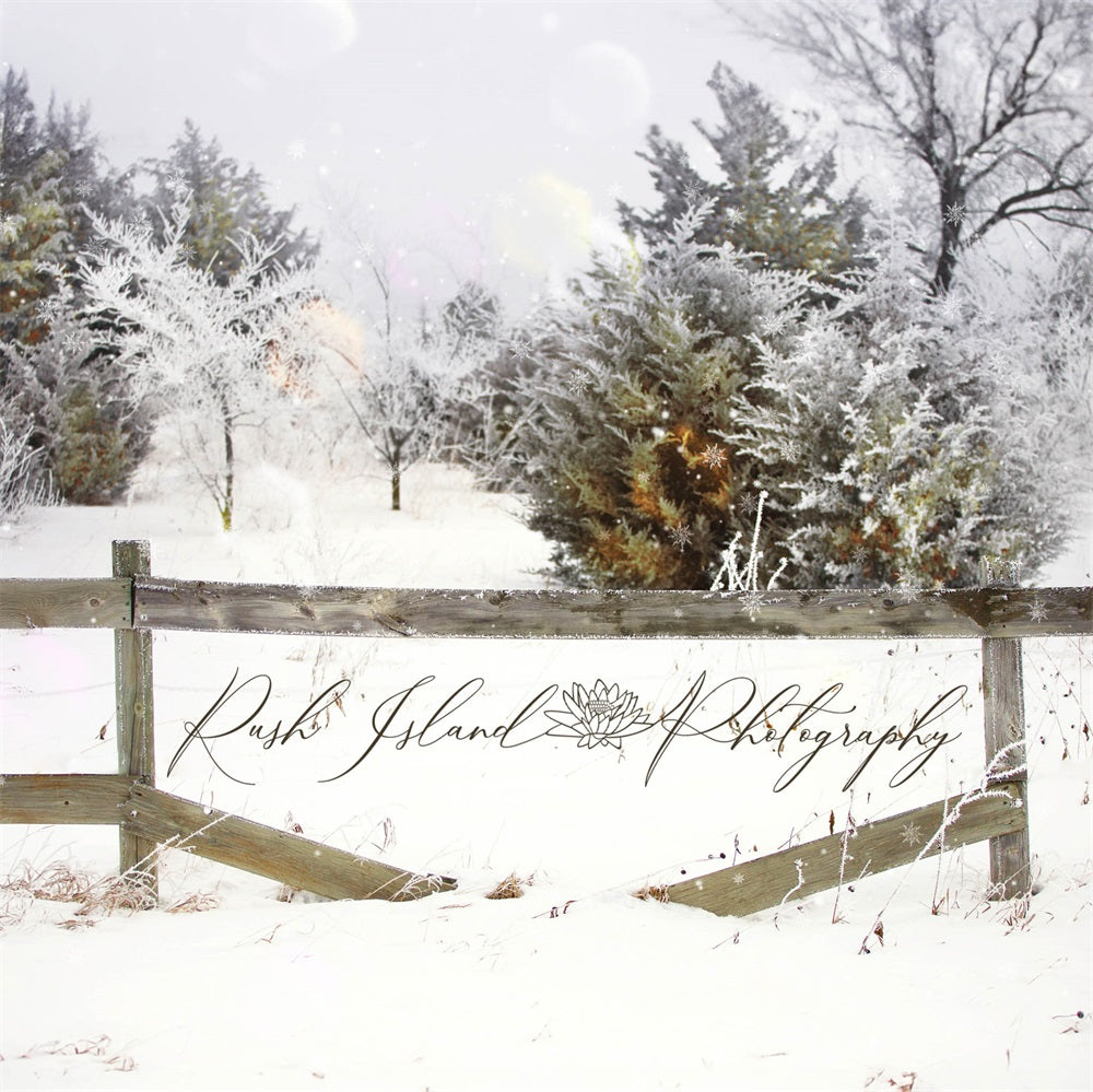 Bosco invernale con neve e recinzione marrone, sfondo progettato da Laura Bybee