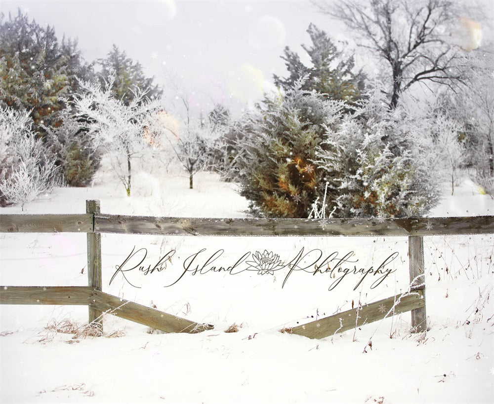 Bosco invernale con neve e recinzione marrone, sfondo progettato da Laura Bybee