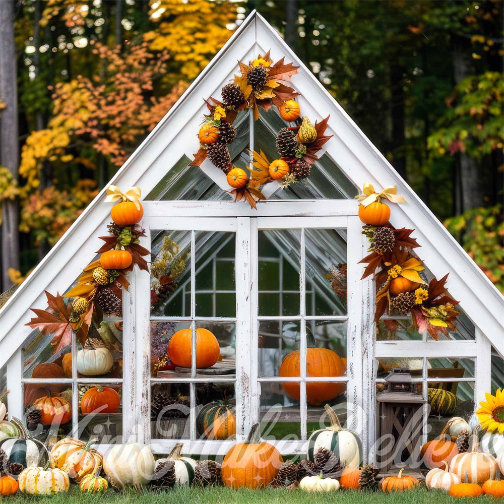Kate Fall Outdoor Forest Sunflower Pumpkin White Barn Backdrop Designed by Mini MakeBelieve