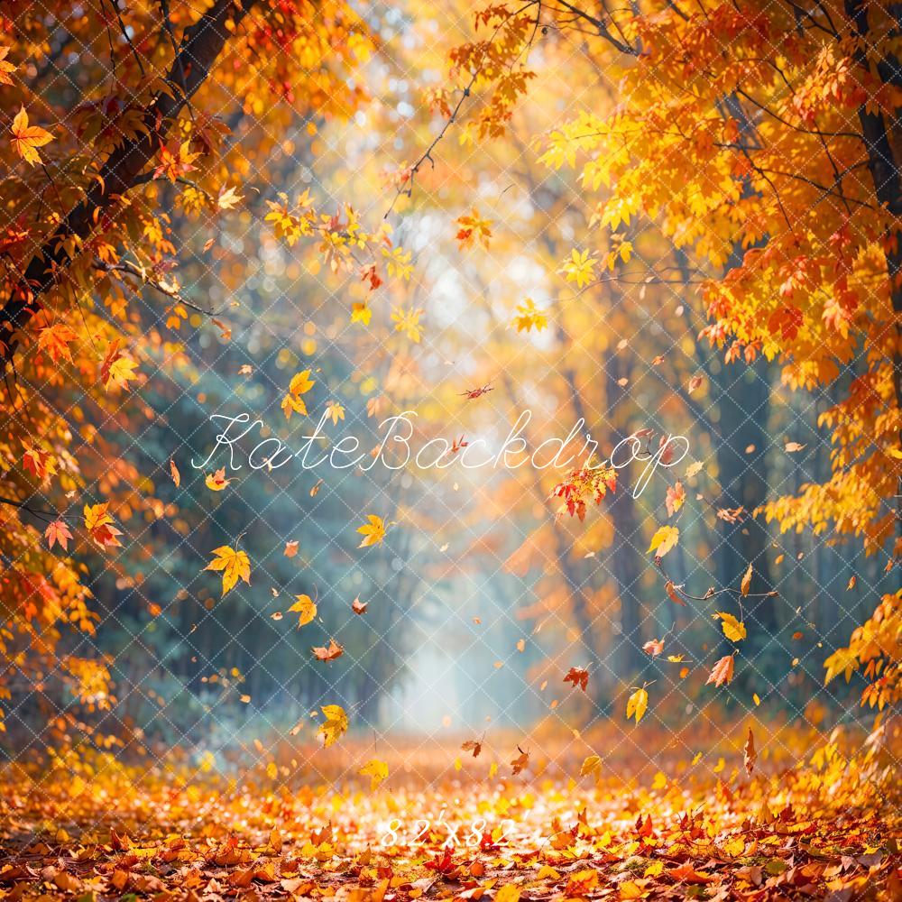 Herfst Esdoornbos met Gevallen Bladeren Foto Achtergrond Ontworpen door Emetselch