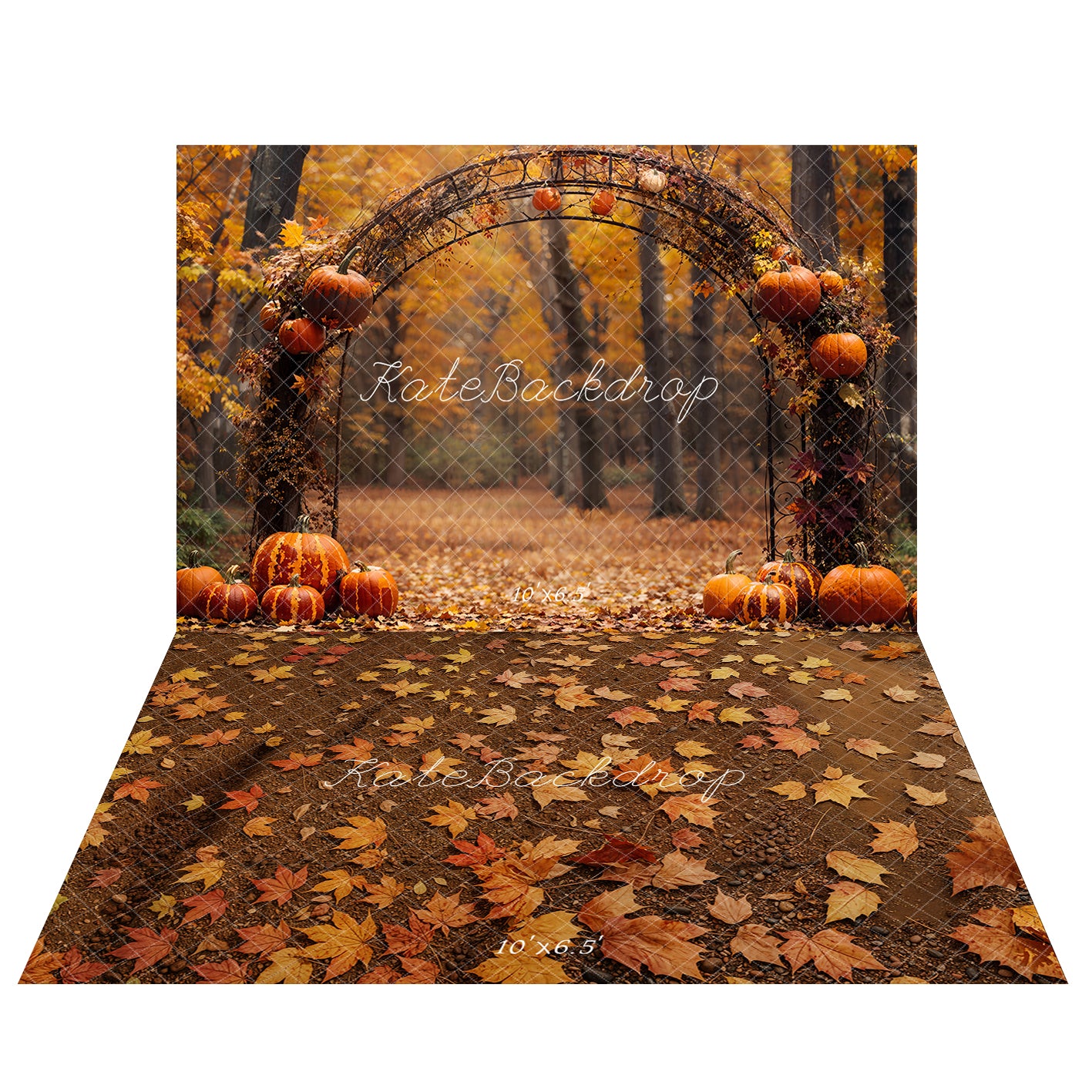 Kate Fall Pumpkin Arch Forest Backdrop+Fall Maple Leaves Ground Floor Backdrop