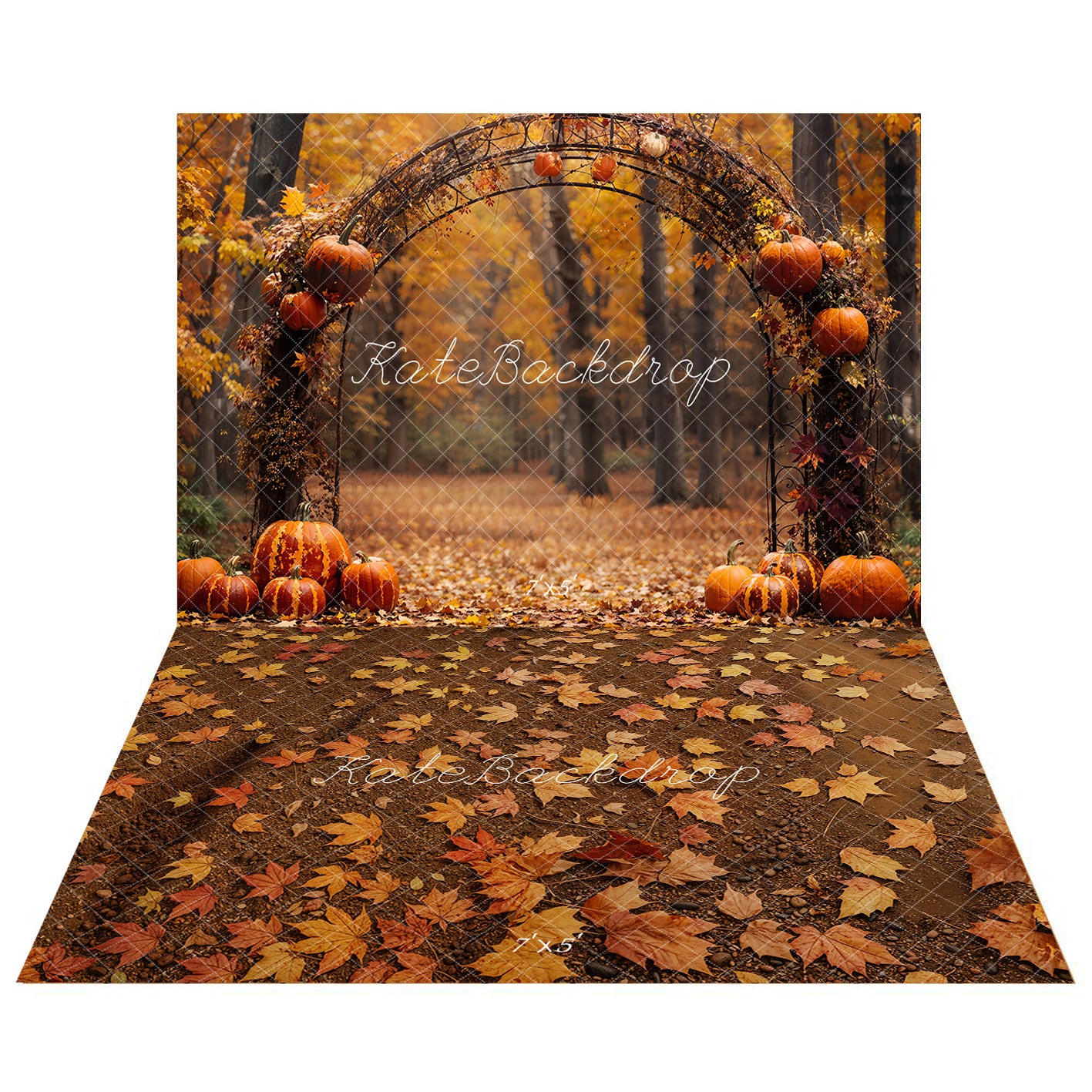 Kate Fall Pumpkin Arch Forest Backdrop+Fall Maple Leaves Ground Floor Backdrop