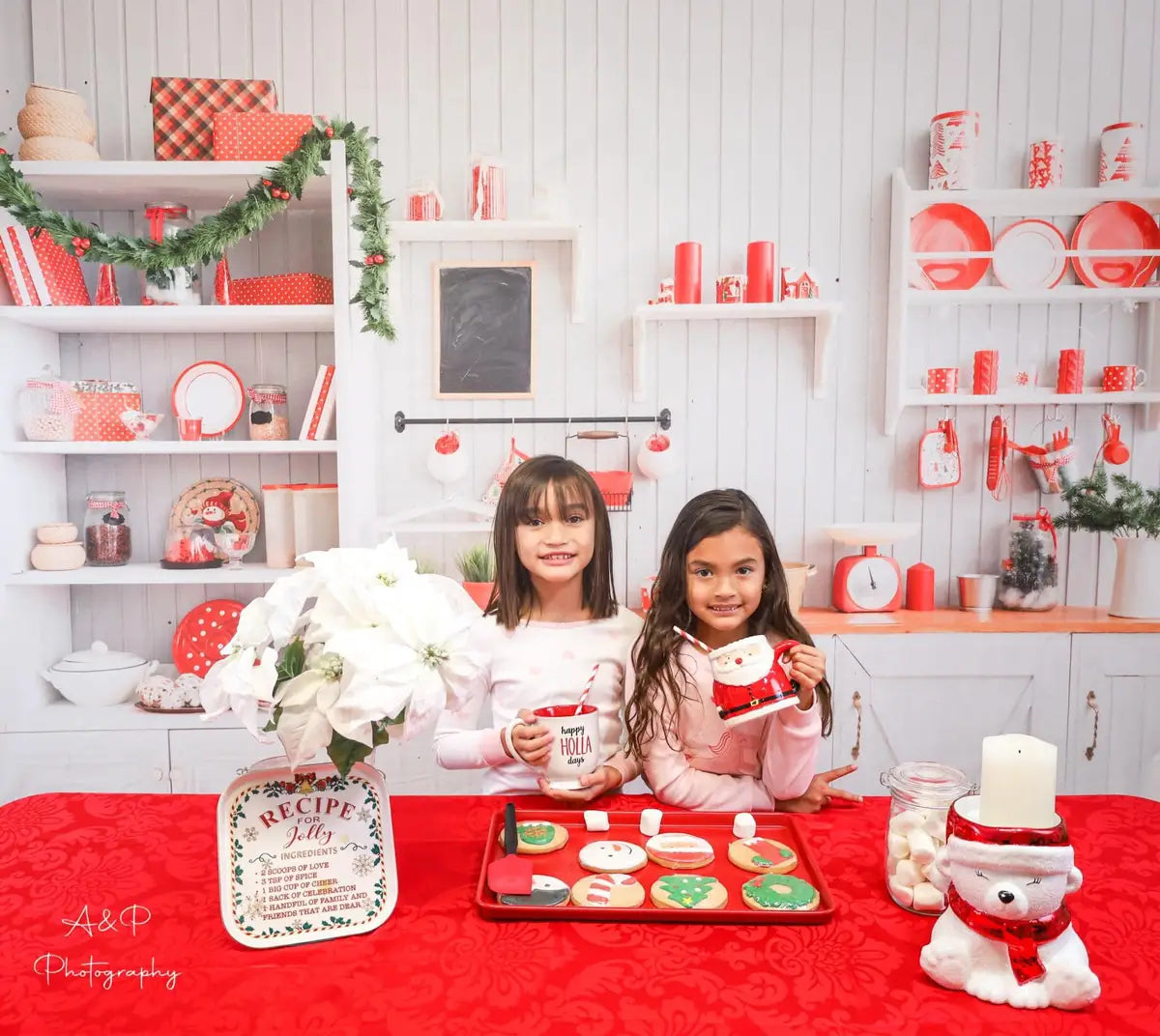 Kate Christmas Kitchen Backdrop White Wall for Photography