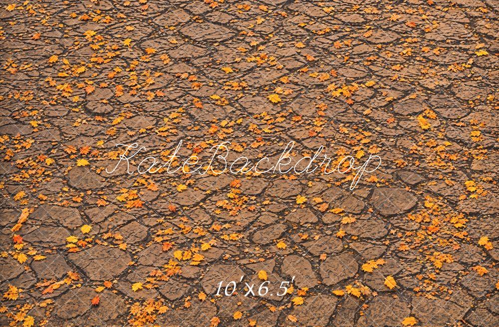 Kate Fall Fallen Leaves On Ground Backdrop Designed by Emetselch