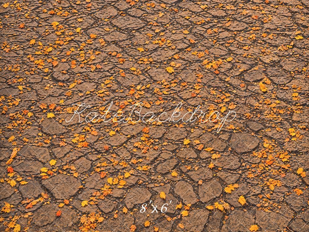 Kate Fall Fallen Leaves On Ground Backdrop Designed by Emetselch