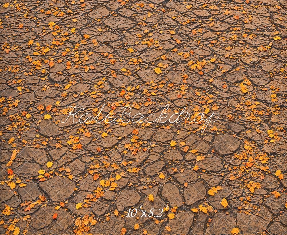 Fall Fallen Leaves On Ground Foto Achtergrond Designed by Emetselch