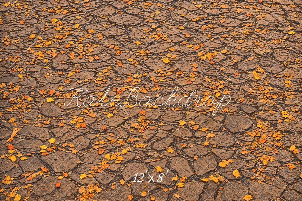 Kate Fall Fallen Leaves On Ground Backdrop Designed by Emetselch