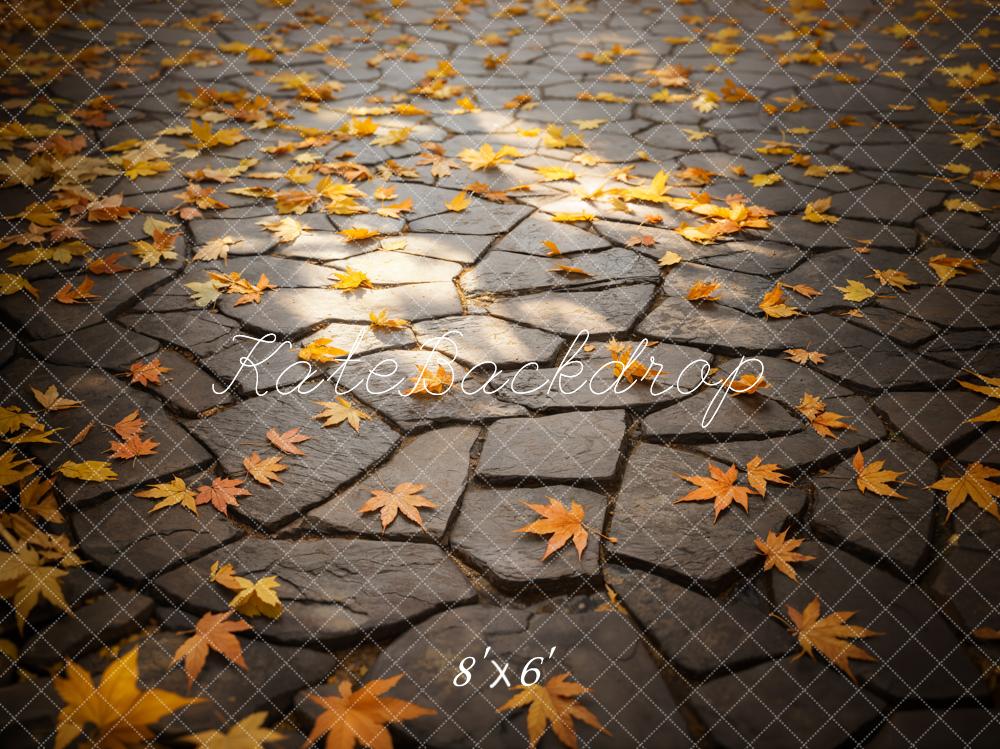 Fall Leaves Stone Path Floor Foto Achtergrond Designed by Emetselch