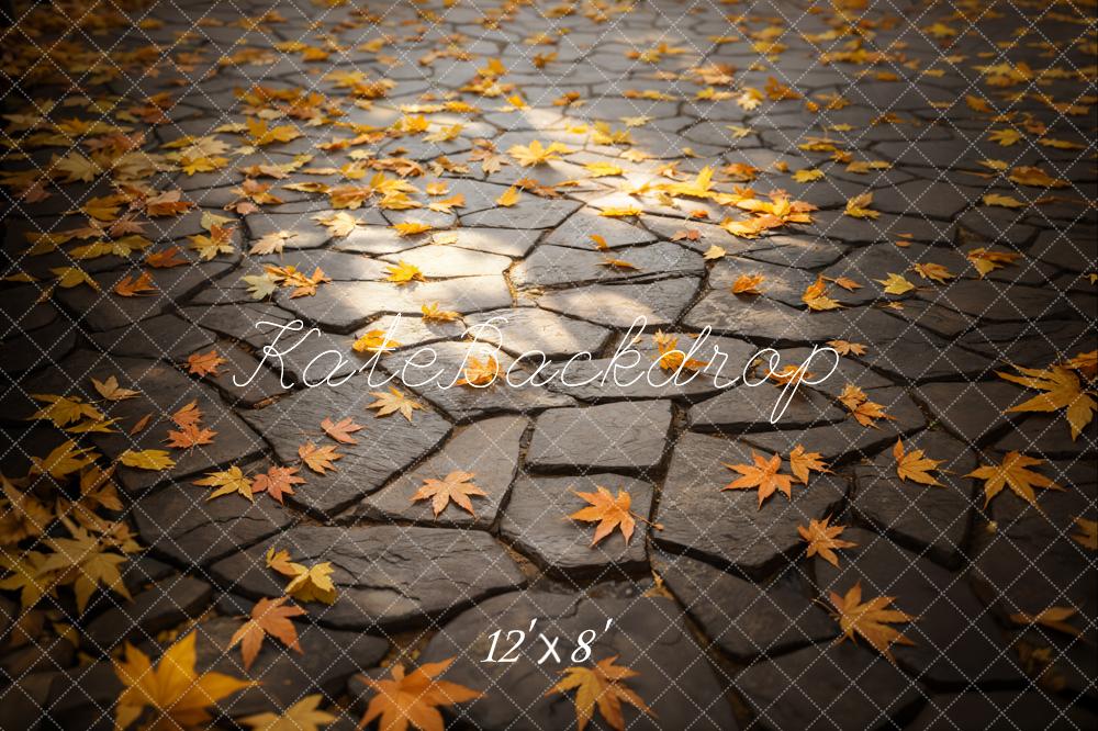 Kate Fall Leaves Stone Path Floor Backdrop Designed by Emetselch