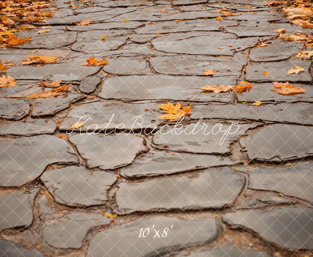 Kate Fall Leaves and Gray Cobblestone Road Floor Backdrop Designed by Emetselch