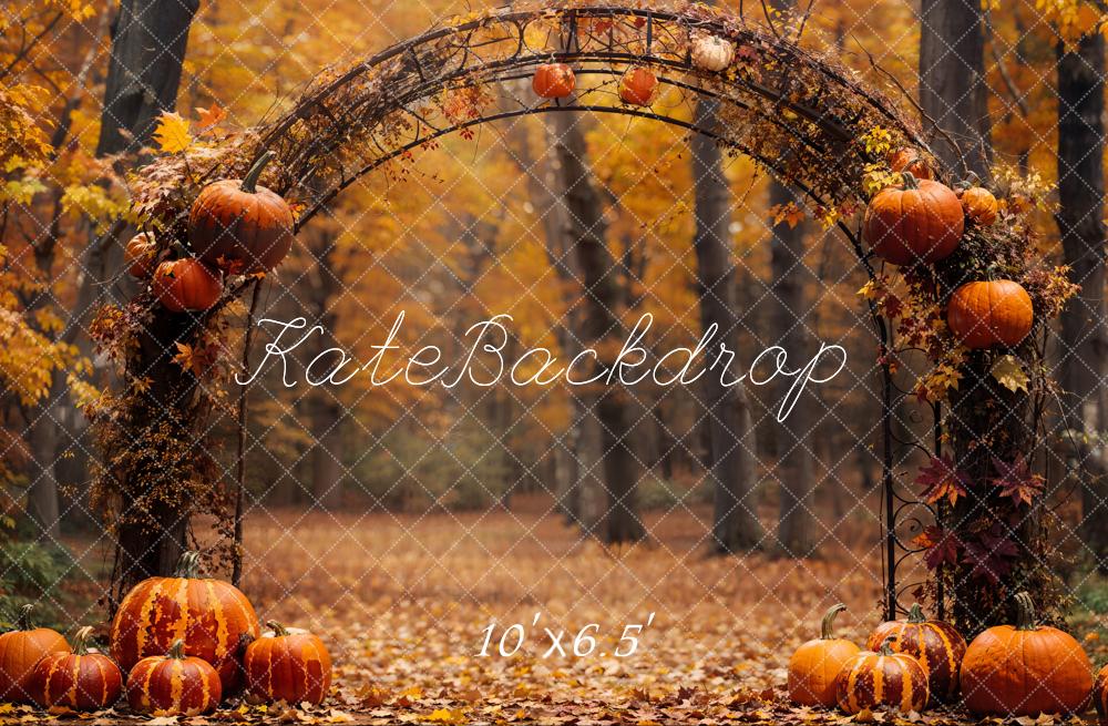 Kate Fall Pumpkin Arch Forest Backdrop Designed by Emetselch