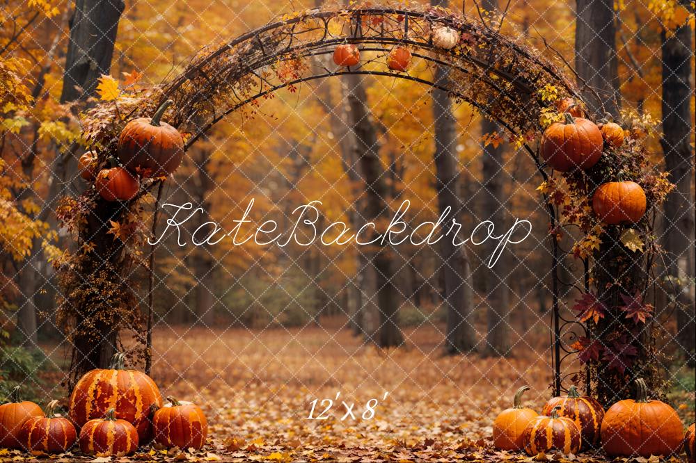 Kate Fall Pumpkin Arch Forest Backdrop Designed by Emetselch