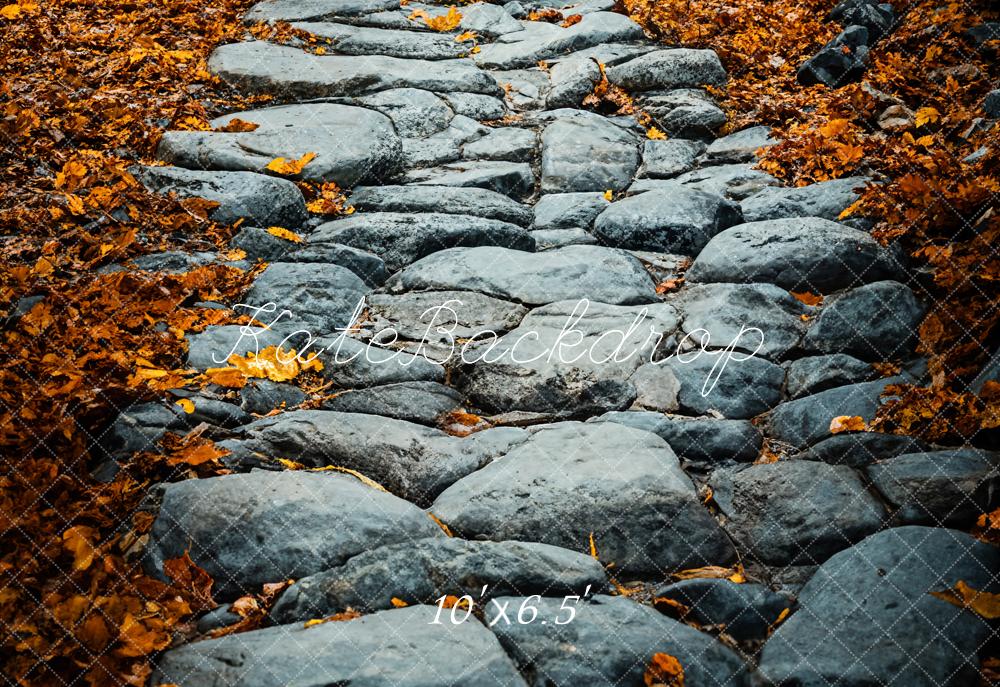 Kate Fall Cobblestone Path Backdrop Designed by Emetselch