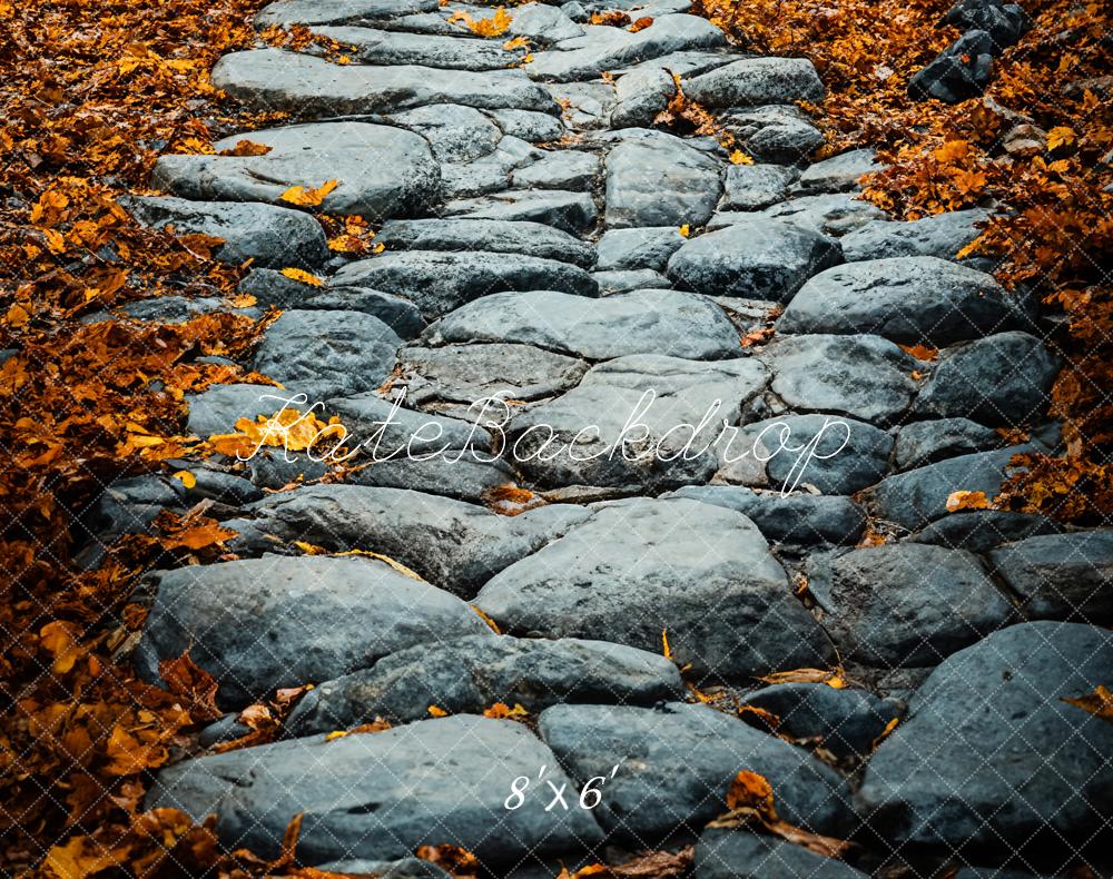 Kate Fall Cobblestone Path Backdrop Designed by Emetselch